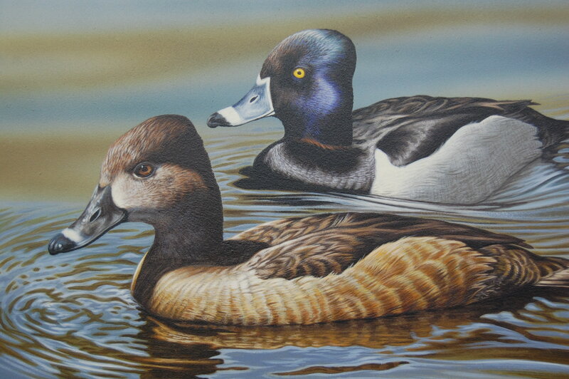 Two ducks swimming in water