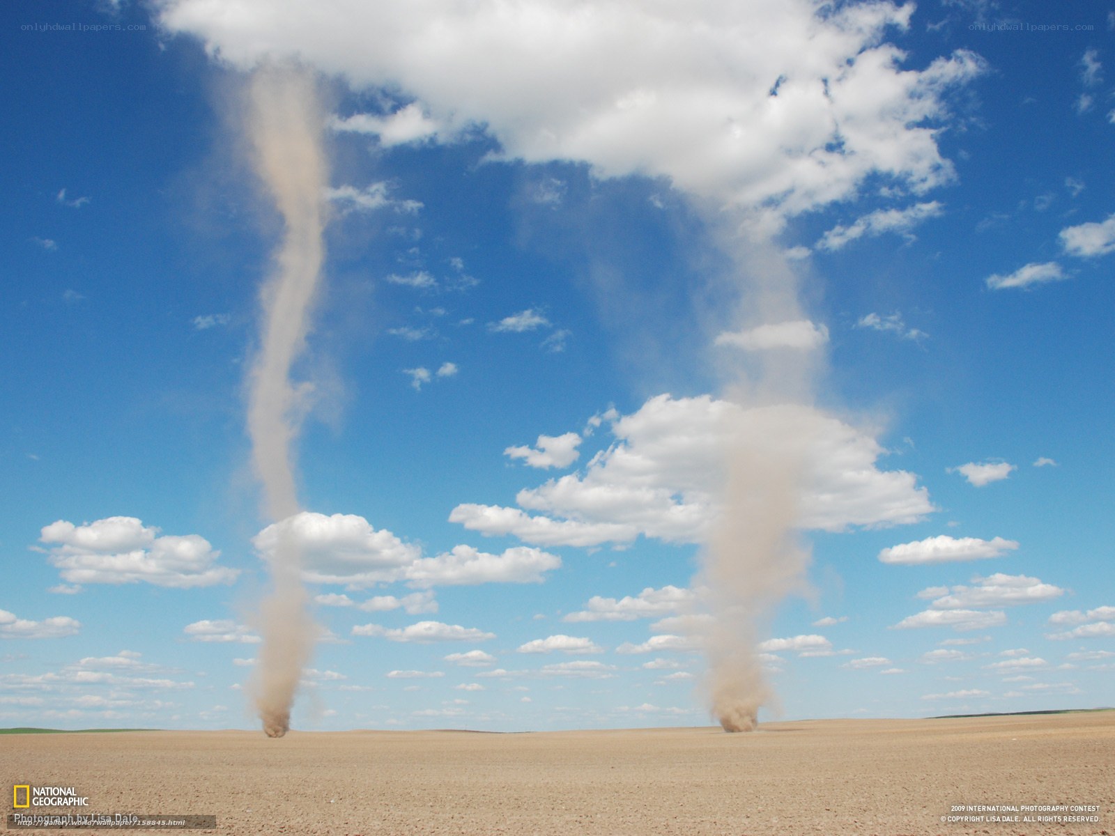 Two dust devils in a desert