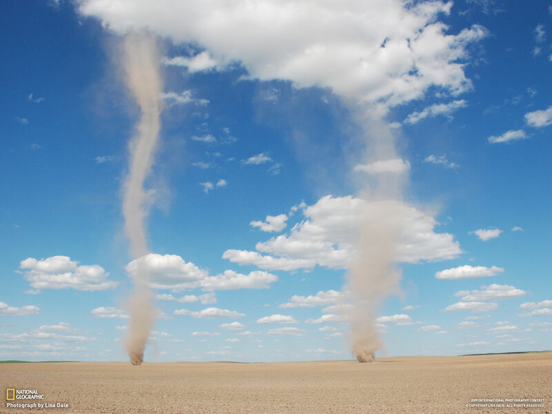 Two dust devils in a field