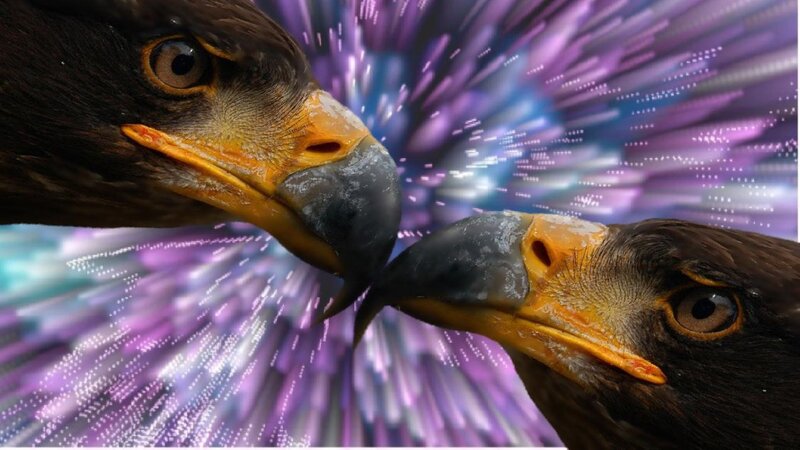 Two eagles facing each other