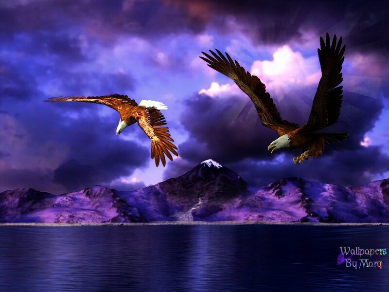 Two Eagles Flying — Purple
