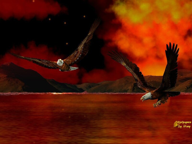 Two Eagles Flying — Red