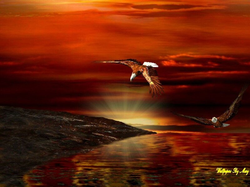 Two Eagles Flying