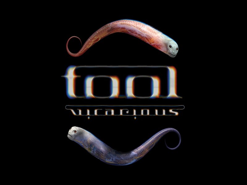 Two Eel-like Creatures