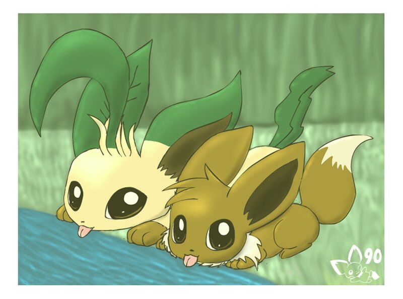 Two Eevee Pokémon