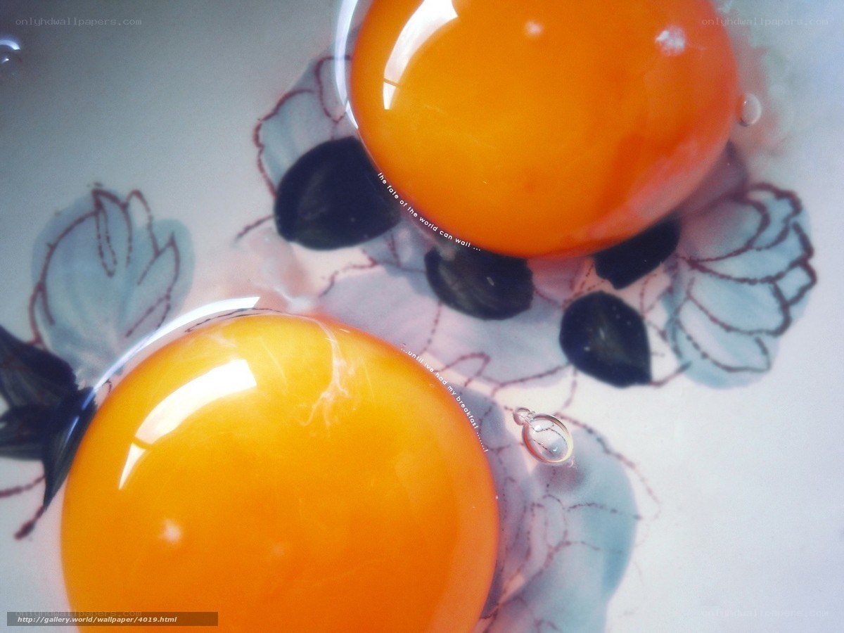 Two egg yolks in a bowl