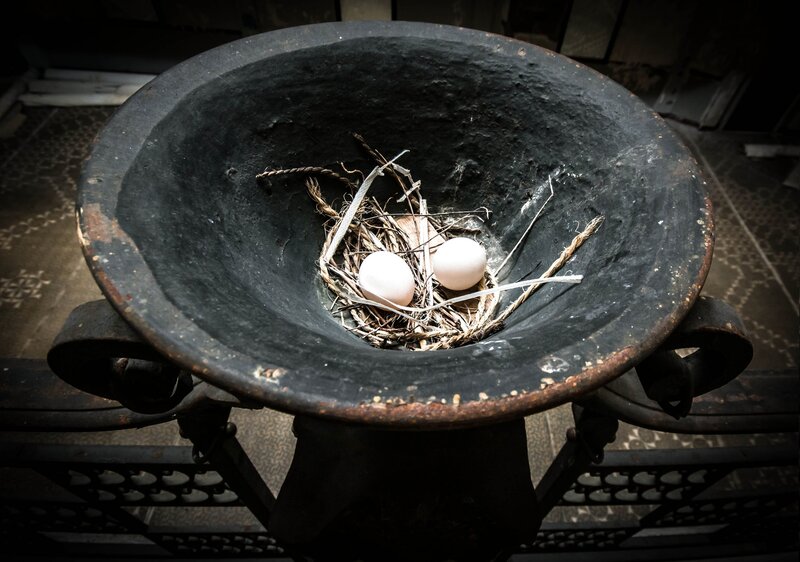 Two Eggs in a Nest