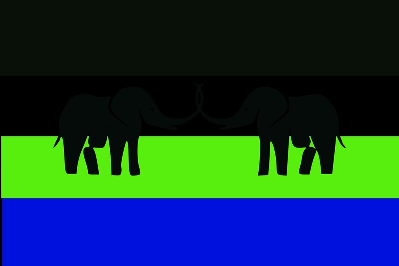 Two Elephants Facing Each Other — Black