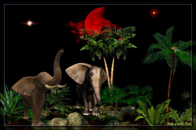 Two Elephants in Jungle