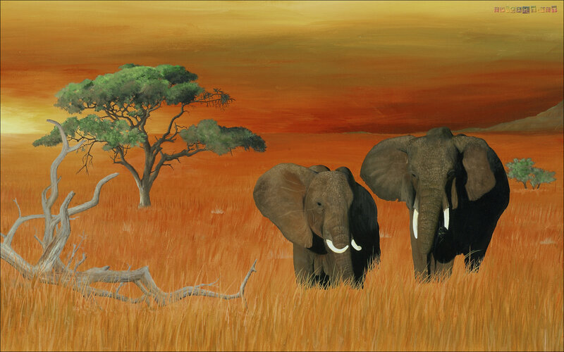 Two Elephants in Savanna — Orange, Serene