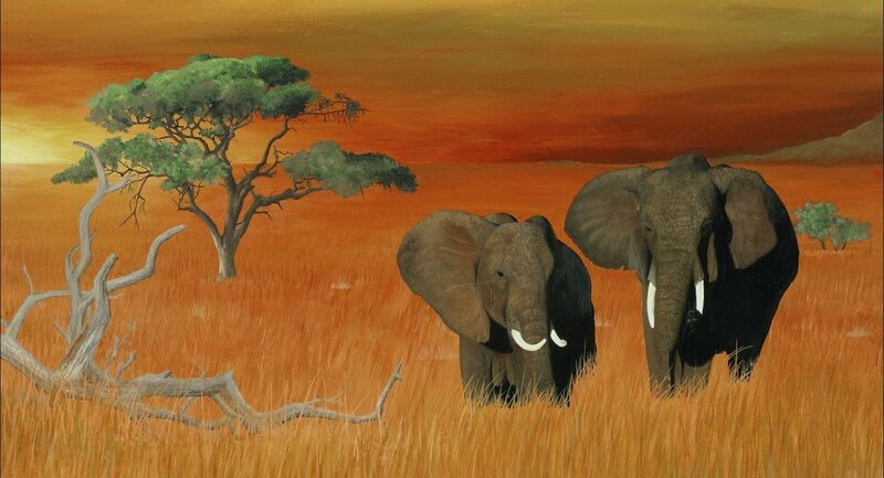 Two Elephants in Savanna — Orange