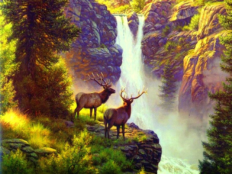 Two Elk by Waterfall — Green, Serene