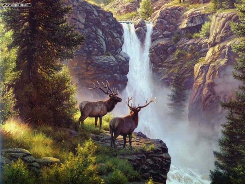 Two Elk by Waterfall