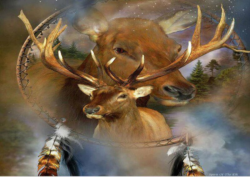 Two Elk in Dreamcatcher