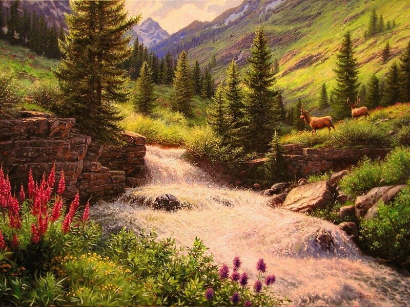 Two Elk in Mountains