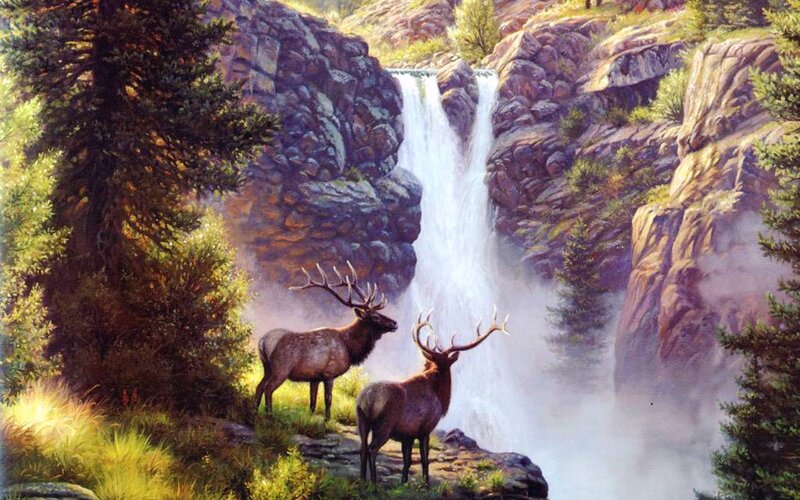 Two Elk Near Waterfall