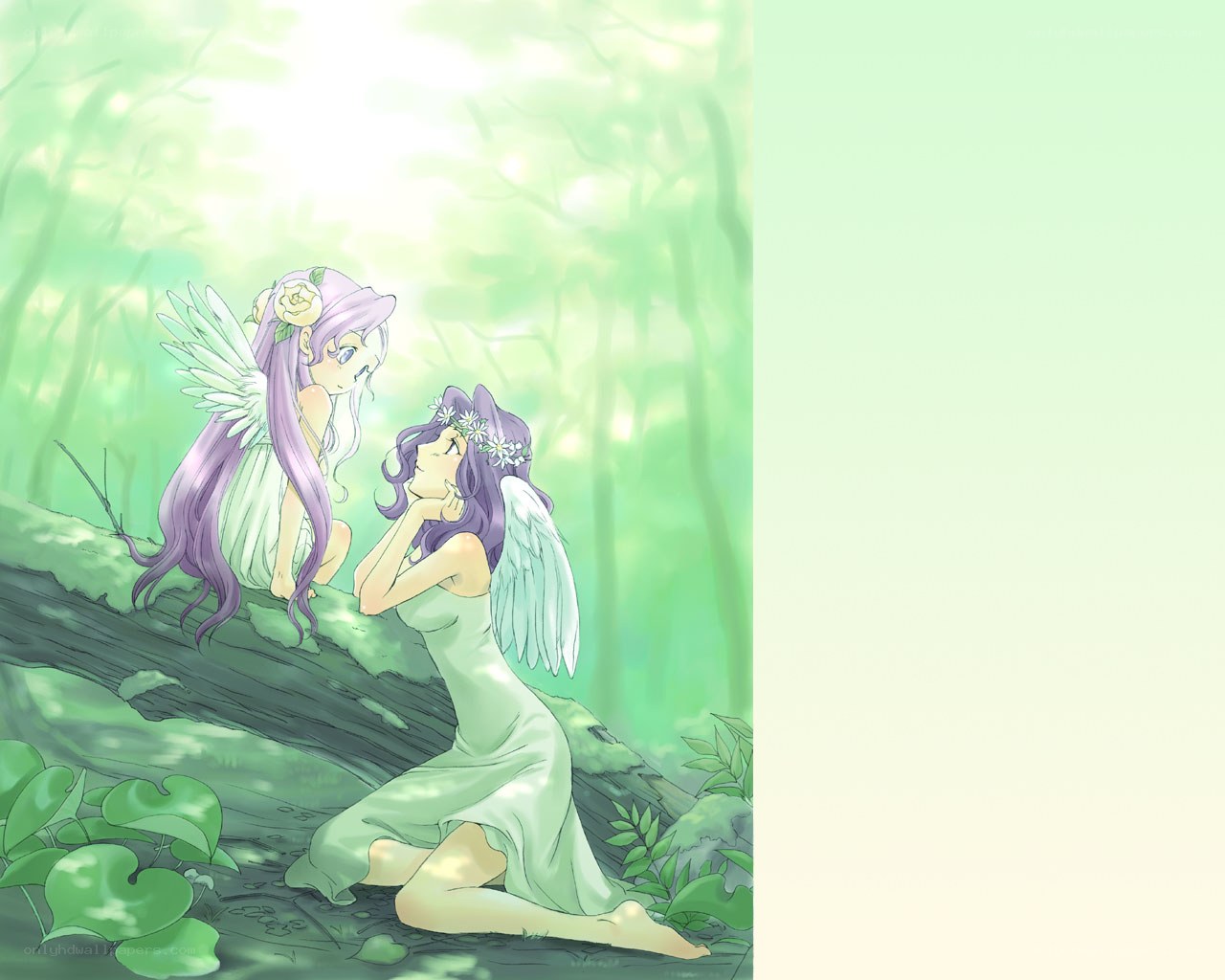 Two fairies in a forest