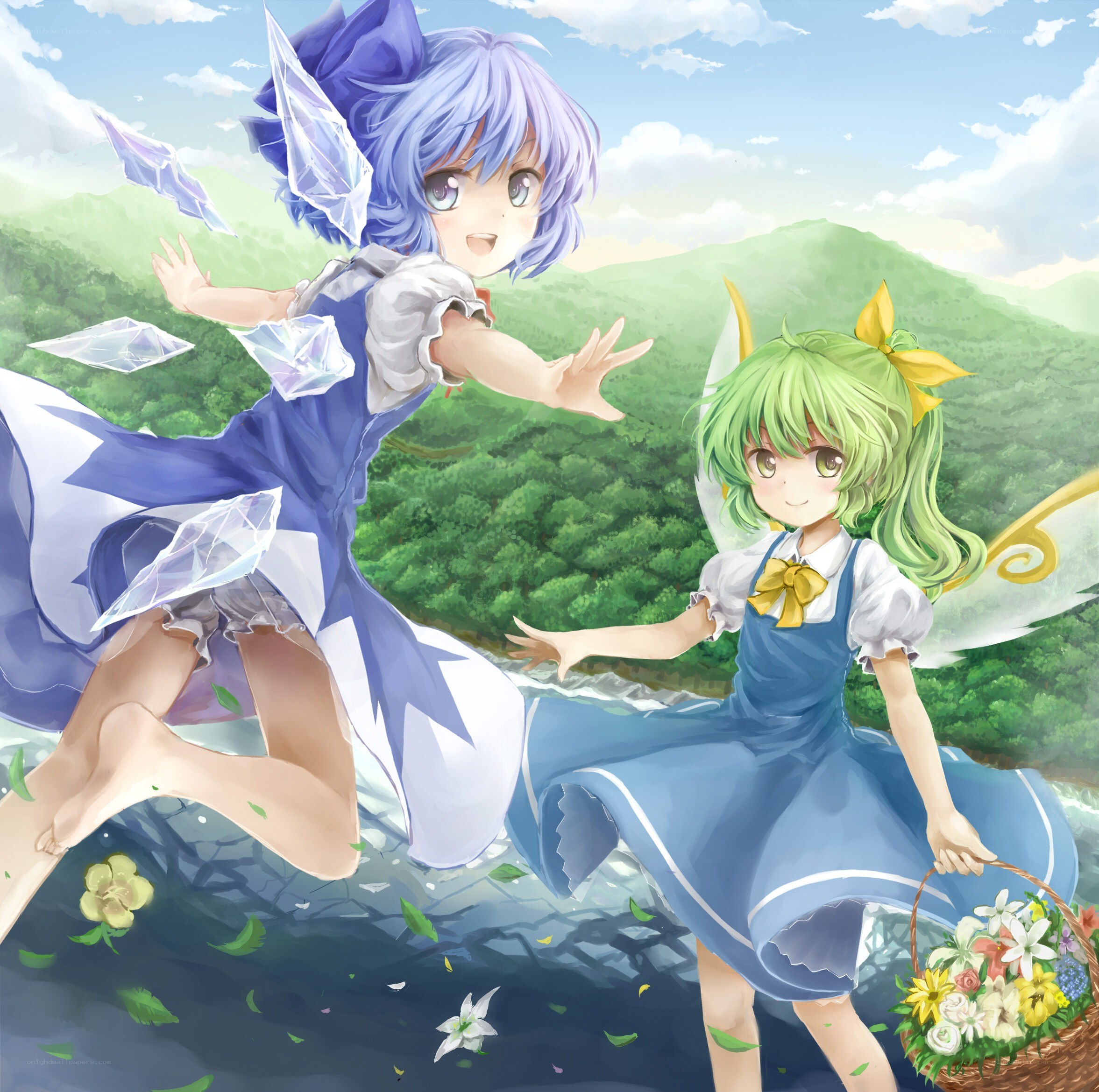 Two fairies in a meadow