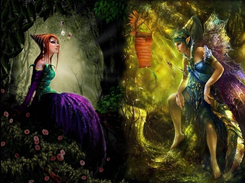 Two Fairies in Forest