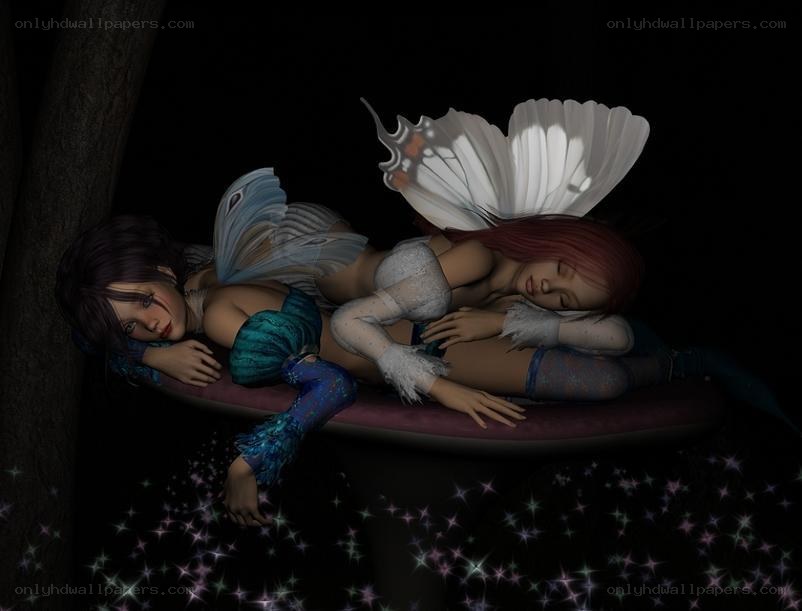 Two fairies sleeping on a mushroom