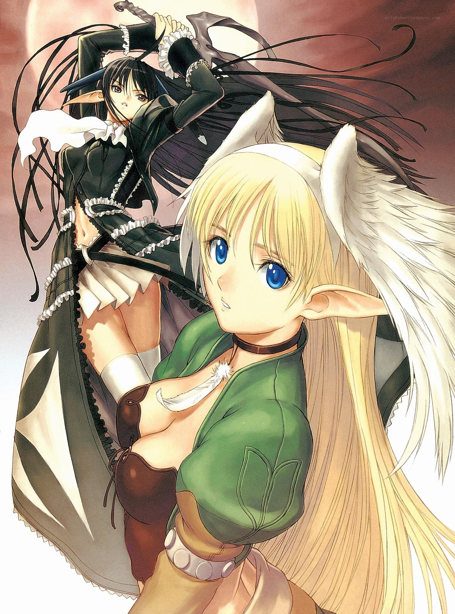 Two fantasy elf girls in combat