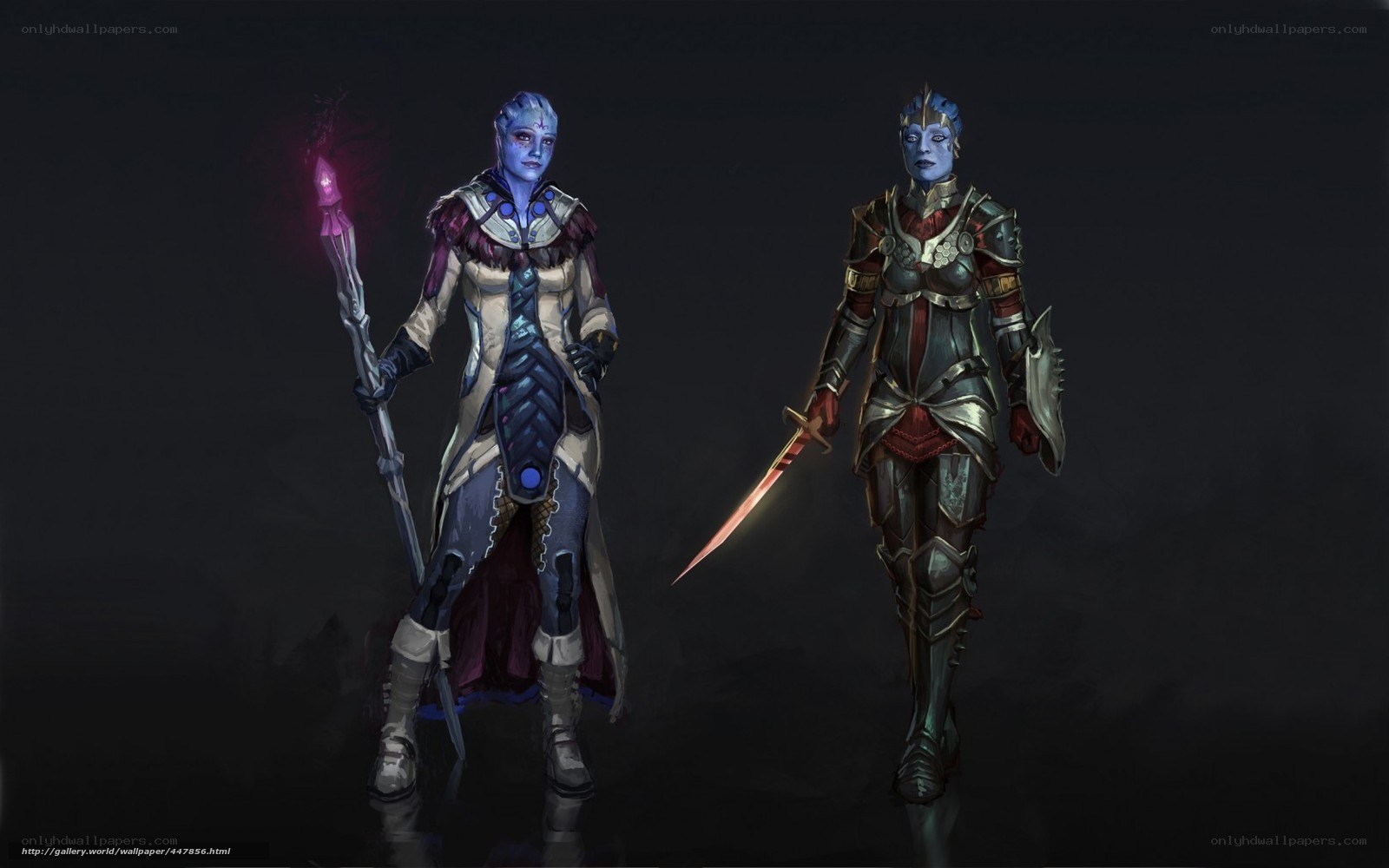 Two fantasy warriors in armor