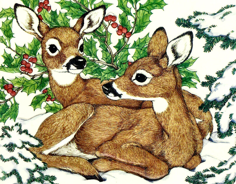 Two Fawns in Snow