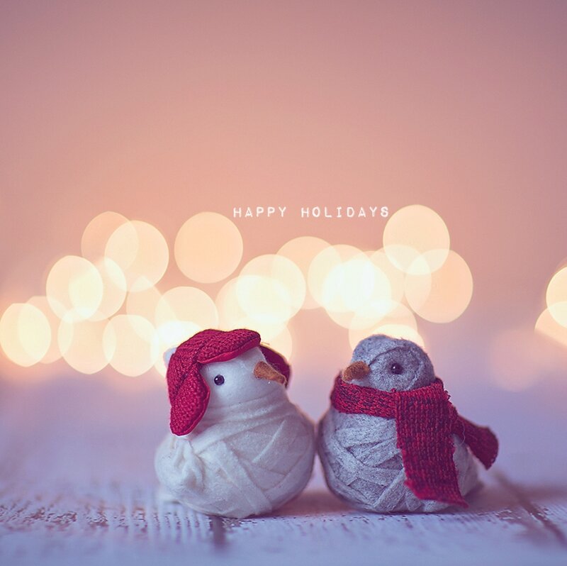 Two Felt Birds