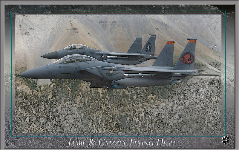 Two Fighter Jets — Gray, Dramatic