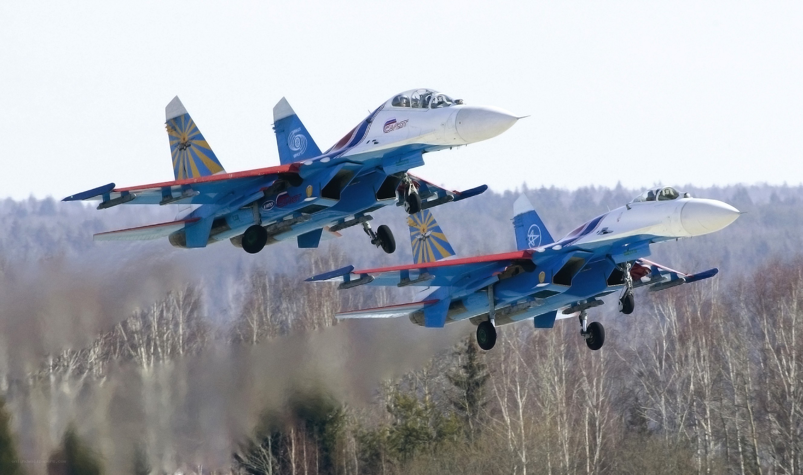Two fighter jets in formation