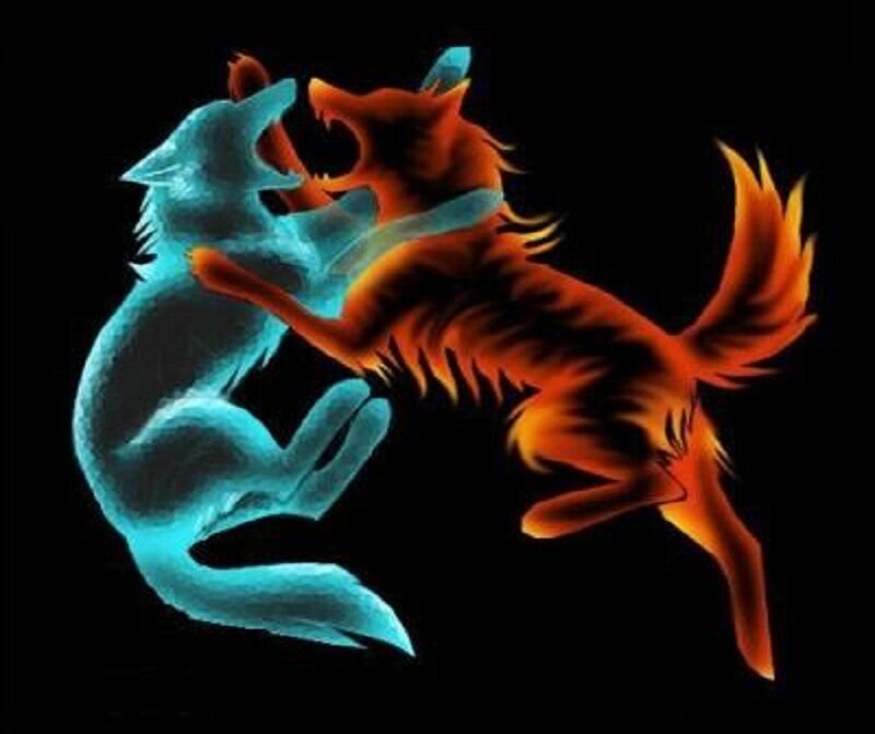 Two Fighting Wolves