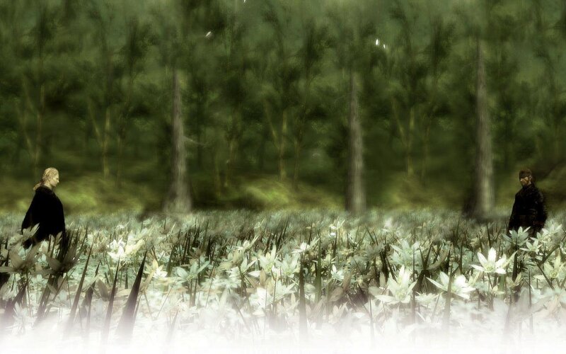 Two figures in a forest clearing