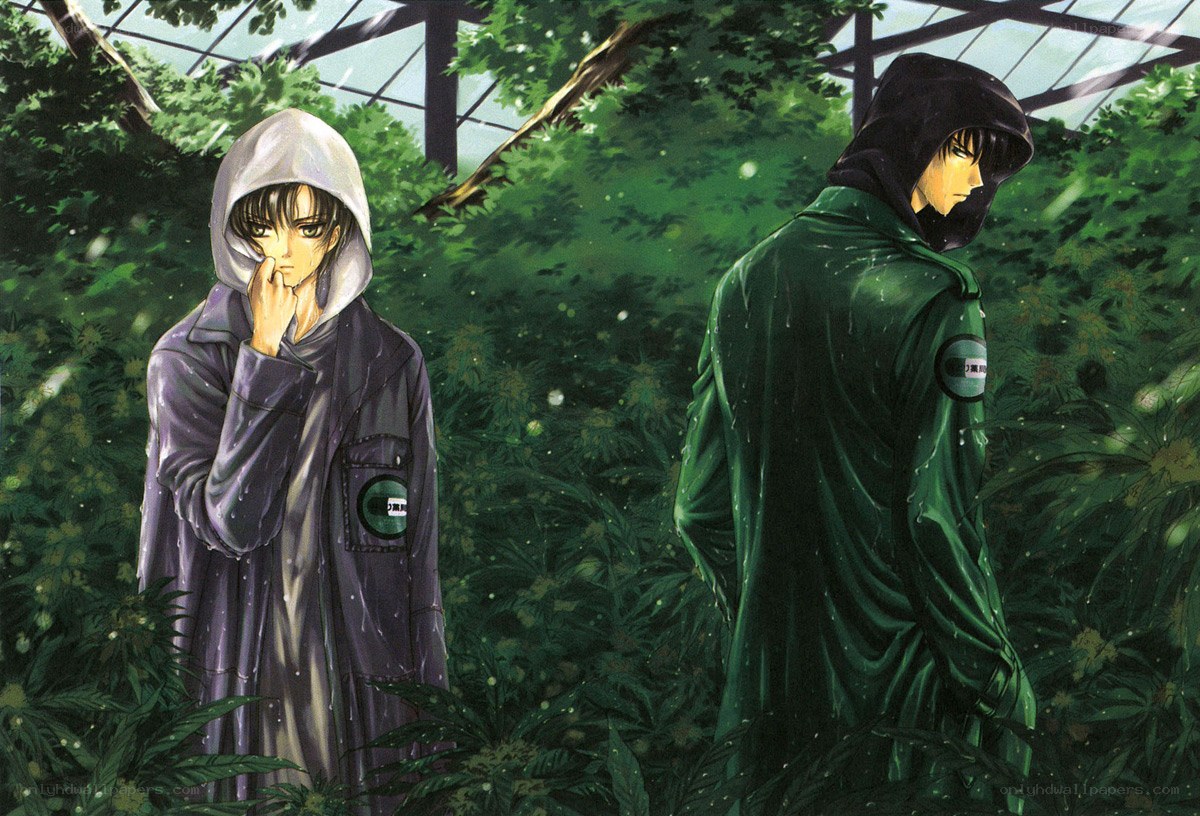 two figures in a greenhouse