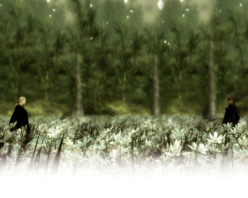 Two figures in a misty forest