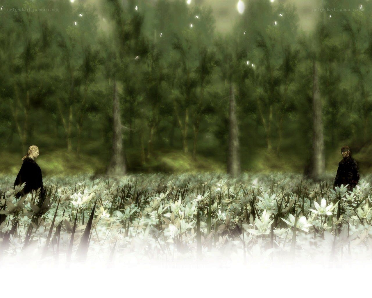 Two figures in a misty forest