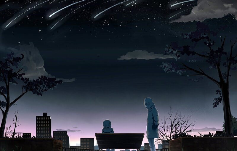 Two figures watch meteor shower