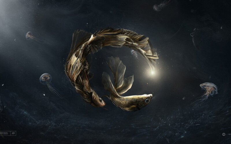 Two Fish in a Circle