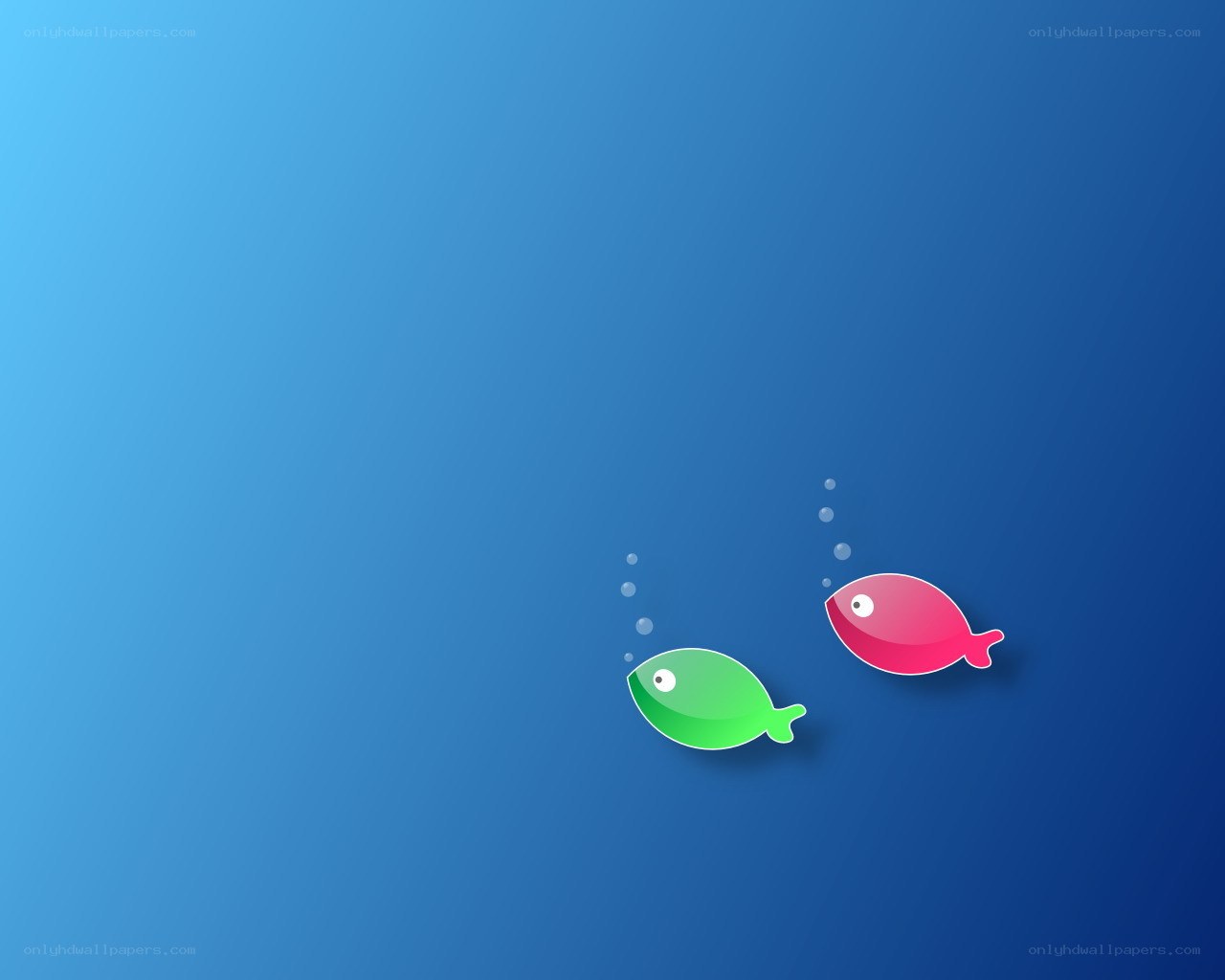 two fish in blue water