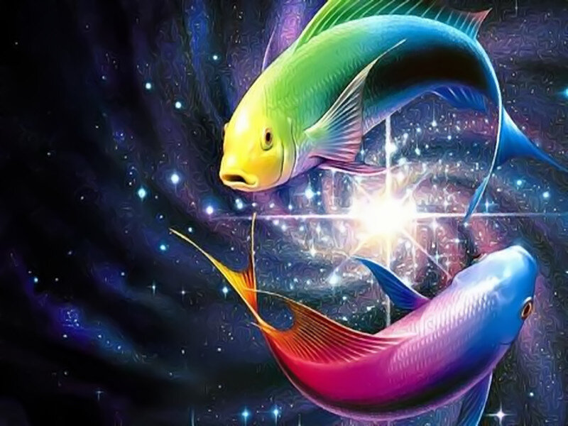 Two Fish in Space