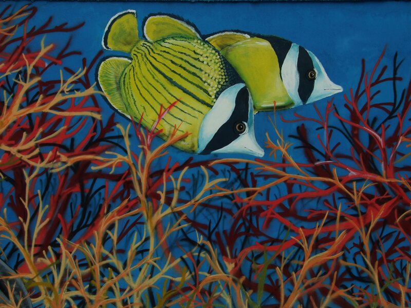 Two fish swim near coral