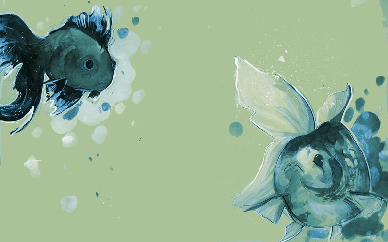 Two fish swimming in water
