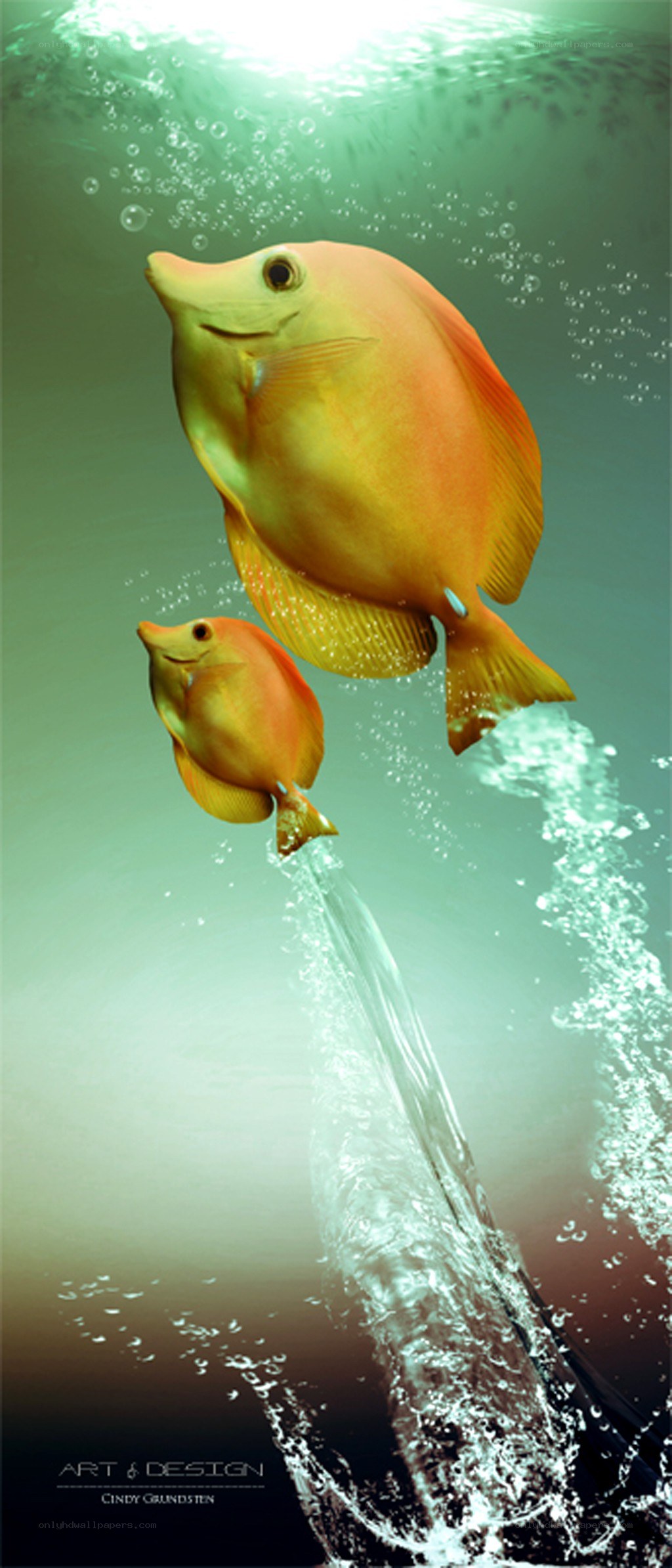 Two fish swimming underwater