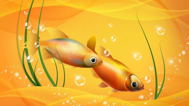 Two Fish Swimming — Yellow, Serene