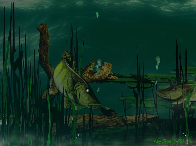 Two Fish Underwater