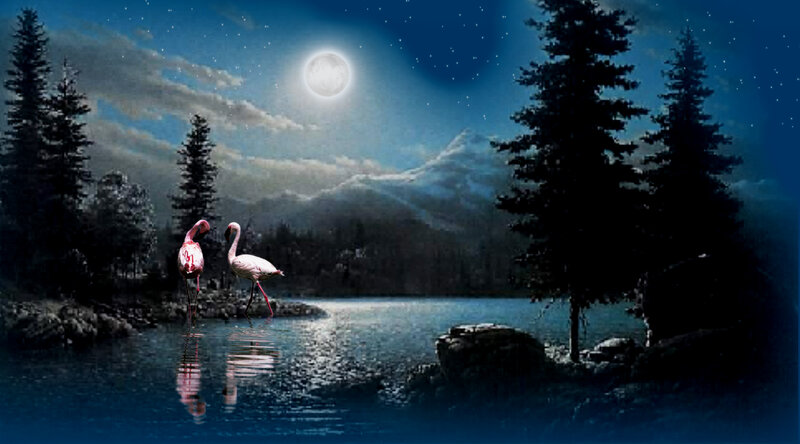 Two Flamingos in Water — Blue