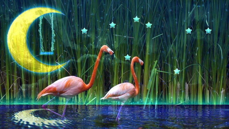 Two Flamingos in Water — Green