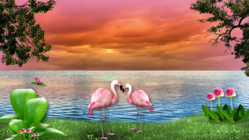 Two Flamingos on Grass