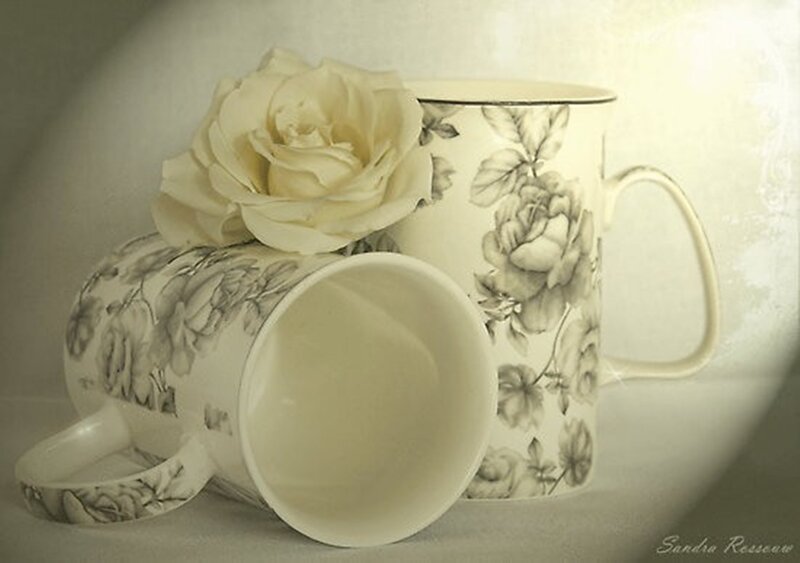 Two Floral Mugs with Rose
