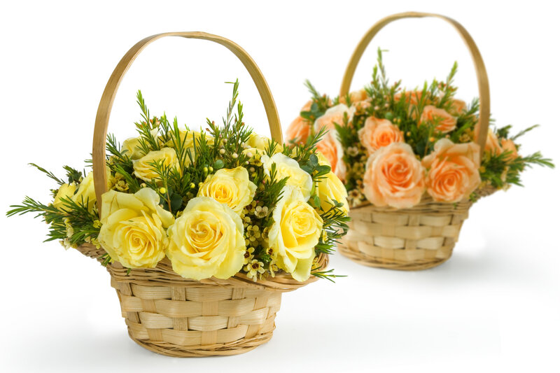 Two Flower Baskets