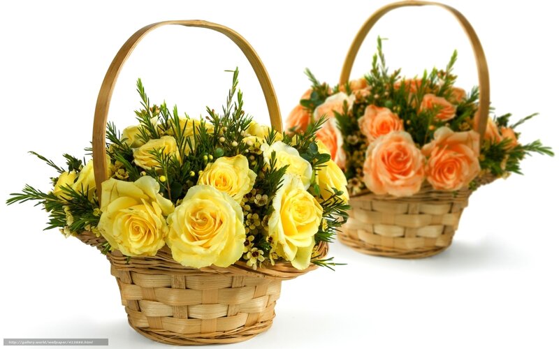 Two Flower Baskets — Yellow, Calm